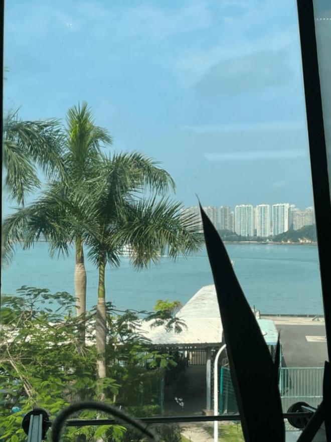 期中式儿女有必过的“孝心收费站”PG麻将胡了免费试玩模拟器十一假(图4)