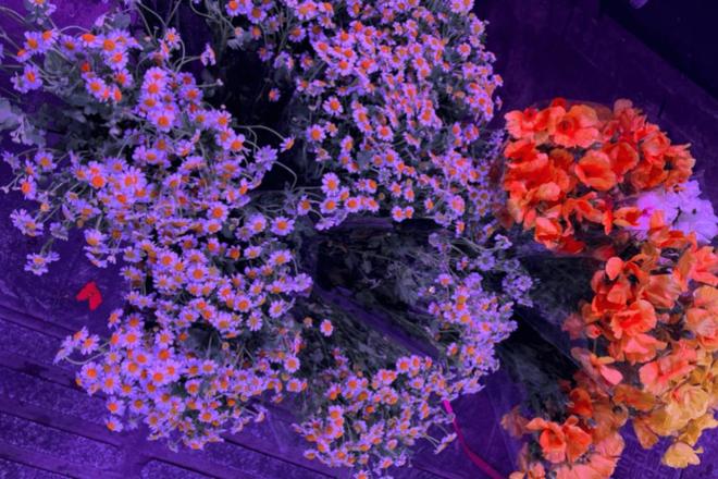 期中式儿女有必过的“孝心收费站”PG麻将胡了免费试玩模拟器十一假(图6)